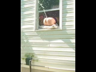 Super-naughty fake penis ejaculation spraying out of window while neighbors are outside!