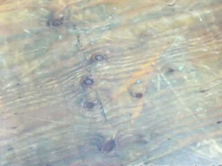 Naughty amateur German Milf group sex action