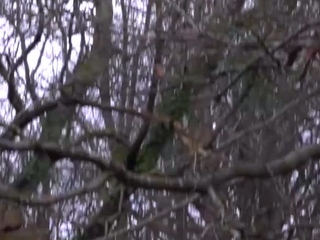 Humungous breast Mature cougar Gets coochie gobbled By light-haired girl-on-girl