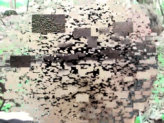 foot sniffing at trekking tour